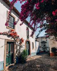 🌺🇵🇹 Bougainvillea Beauty: A Picturesque Palette in the Heart of Portugal! 📸🌿