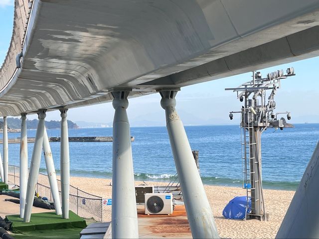 大梅沙一日遊攻略來啦