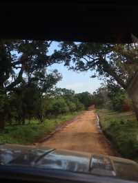 Yala National Park, Sri Lanka🇱🇰🐆