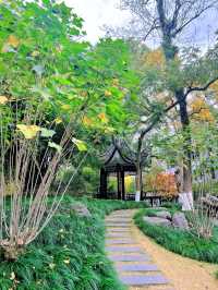 城市漫步看墨池公園的前世今生