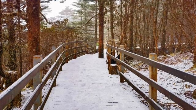 2024年1月16日，轿子雪山又又又下雪了！