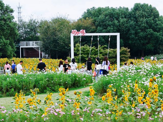 花開海上的確是個漂亮的公園，設施和服務都很好