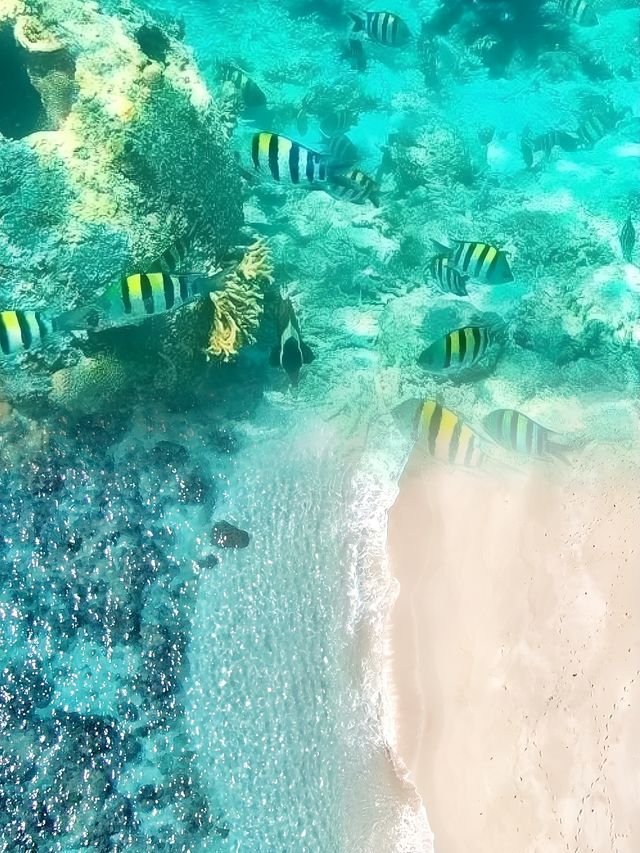 海南必打卡小眾寶藏景點｜玻璃海加井島