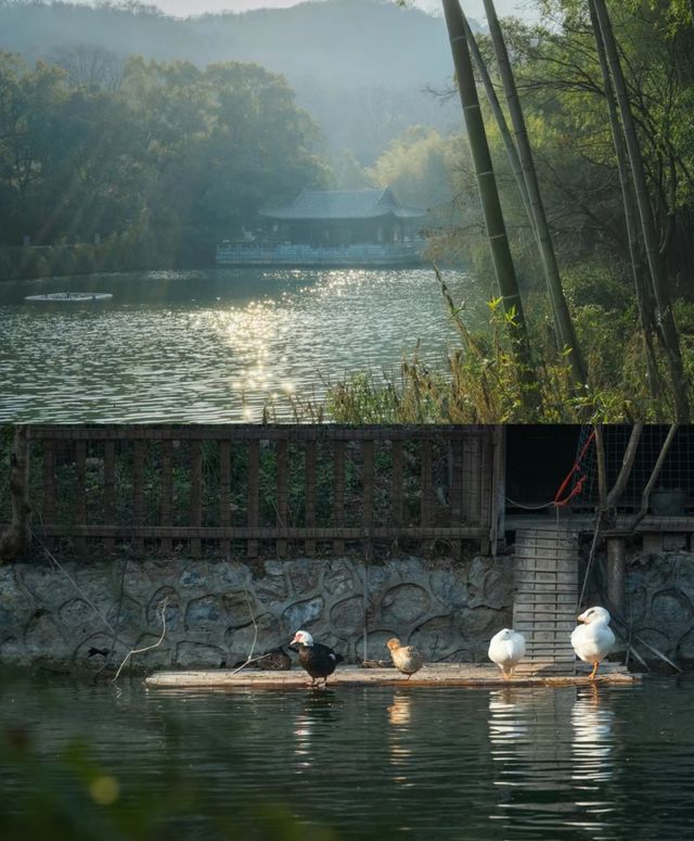 襄陽兩日遊冬季周末湖北省內遊