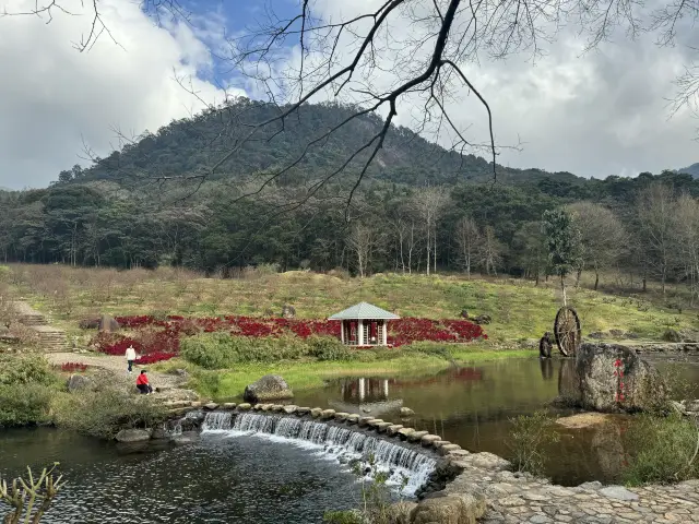 冬末春初〜15pm【原カメラ】下の石門国立森林公園