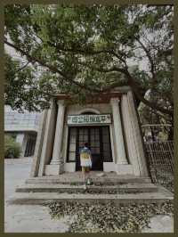 魔都地標民國風情的小眾影視基地眾多影視劇取景地