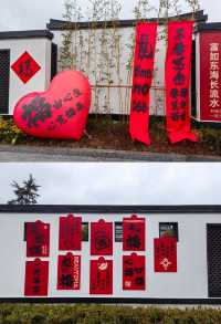 杭州“小龍寶”龍重登場，年味十足的迎春打卡點！