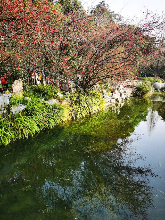 棠湖賞花正當時