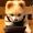 Reed_Sophia_52