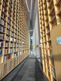 小眾遛娃地|觀展看書兩不誤