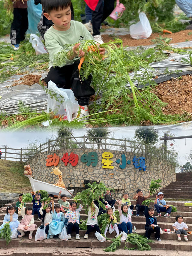 回歸大自然，成都周邊1h鄉村兒童樂園