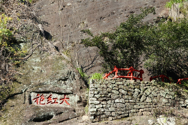 武夷山｜碧水丹山間的一味大紅袍