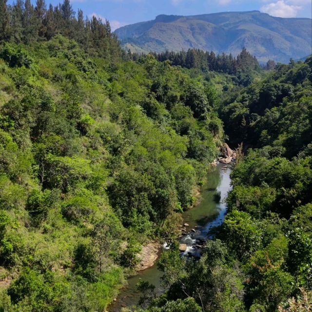 Zipline Adventure🇿🇦