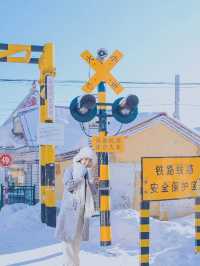 我在橫道河子，給你寫了一封北國情書
