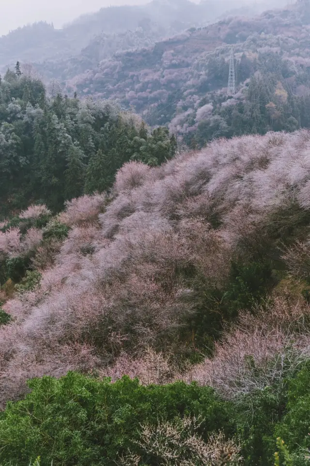 歙縣旅遊丨只賣花不打漁的古村（附攻略）