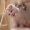 Benjamin Adams 456_