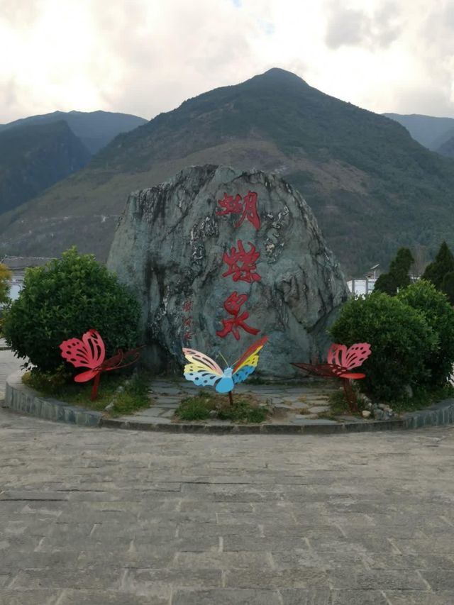 蝴蝶泉位於雲南大理市周城北一公里處，滇藏公路西側、蒼山第一峰雲弄峰下