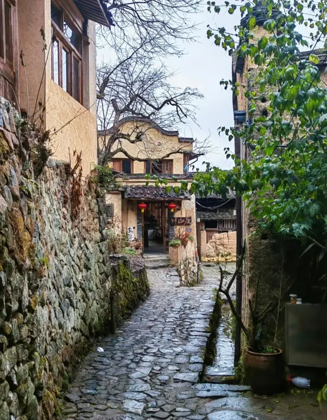 Fujian Ningde | Yun Siping · Slow Life