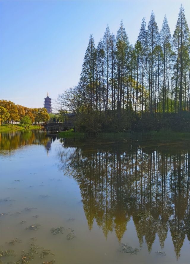 江蘇-泰州柳園