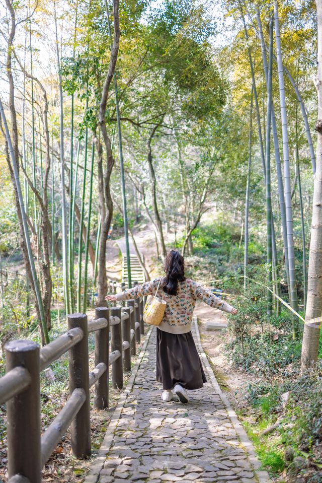 上海踏青爬山 挑戰最高峰天馬山