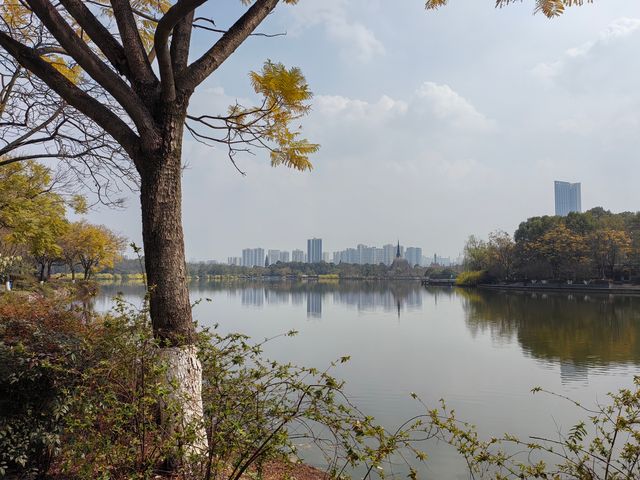 帶小孩去南湖公園感受春的氣息