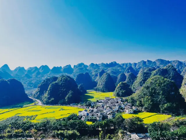 The rural flower fields in Guizhou are picturesque and pleasing to the eye