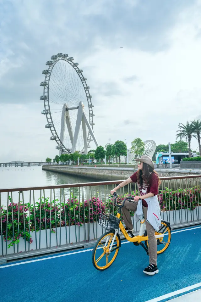 The 'Bay Area Beacon' Ferris wheel, a healing time in the city