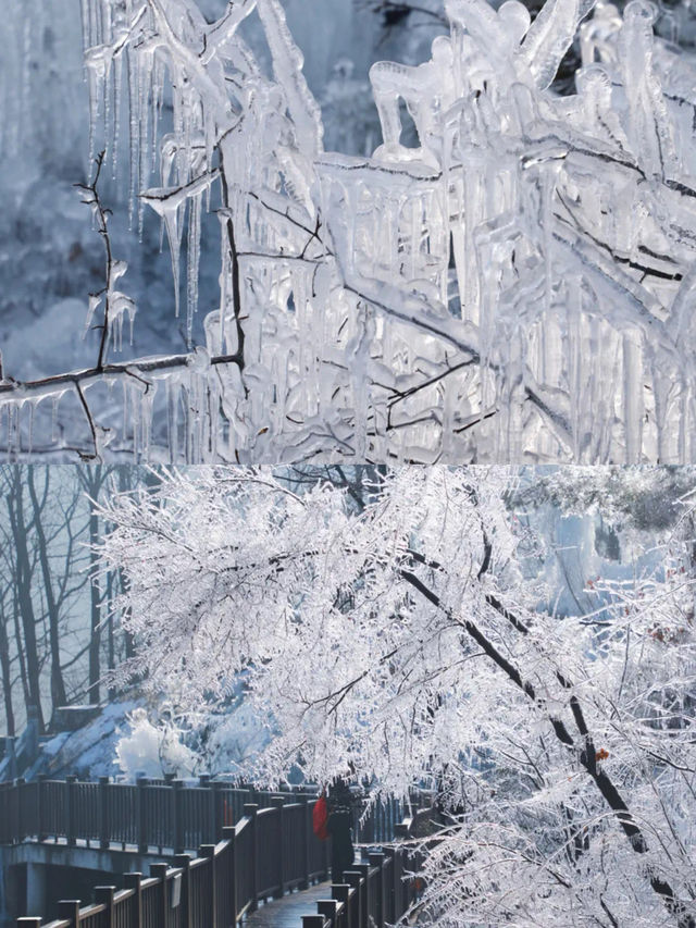 冬天下雪的雲蒙景區，堪稱浪漫旅行天花板