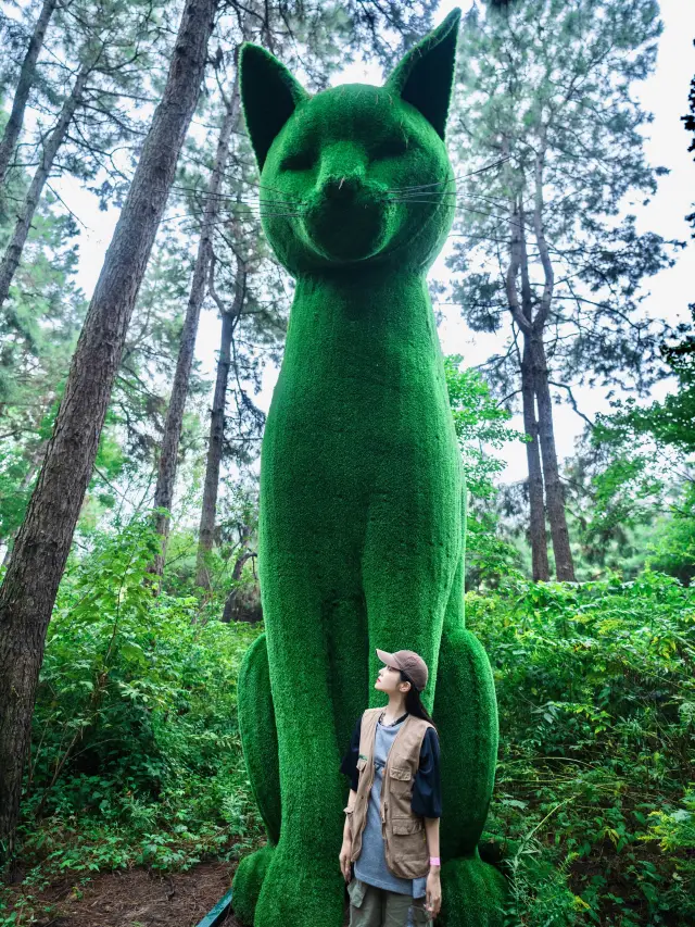 The giant cats around Nanjing thought they had entered an enchanted Black Forest