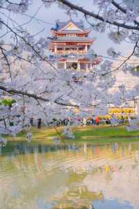 巔峰期TOP鼋頭渚已經終結了比賽(附攻略)