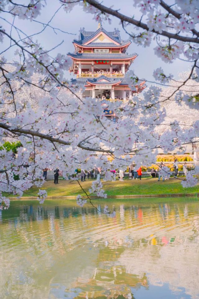 巔峰期TOP鼋頭渚已經終結了比賽(附攻略) 巔峰期TOP鼋頭渚已經終結了比賽(附攻略)