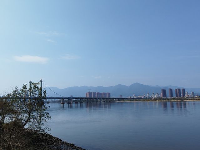 福州沙灘公園賞花行