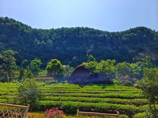 郊野的美麗山村