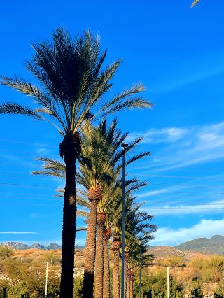 Oh my! It's packed with people! I'm here to shop, okay