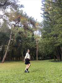 南寧市人民公園，現實版的綠野仙蹤！拍照打卡超出片！