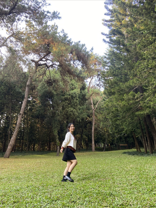 南寧市人民公園，現實版的綠野仙蹤！拍照打卡超出片！