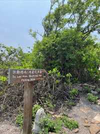 誰還沒有在東平洲看過礁石版的千里江山圖