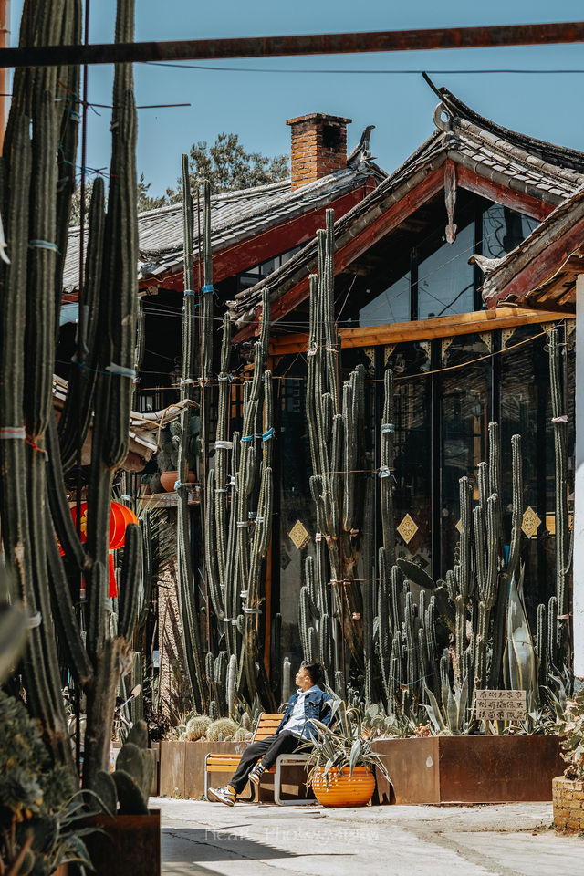 This millennia-old marketplace❣️ is surprisingly the most serene haven in Lijiang.