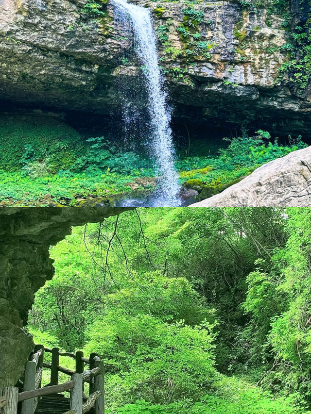 曾家山納涼景點打卡:川洞庵天坑