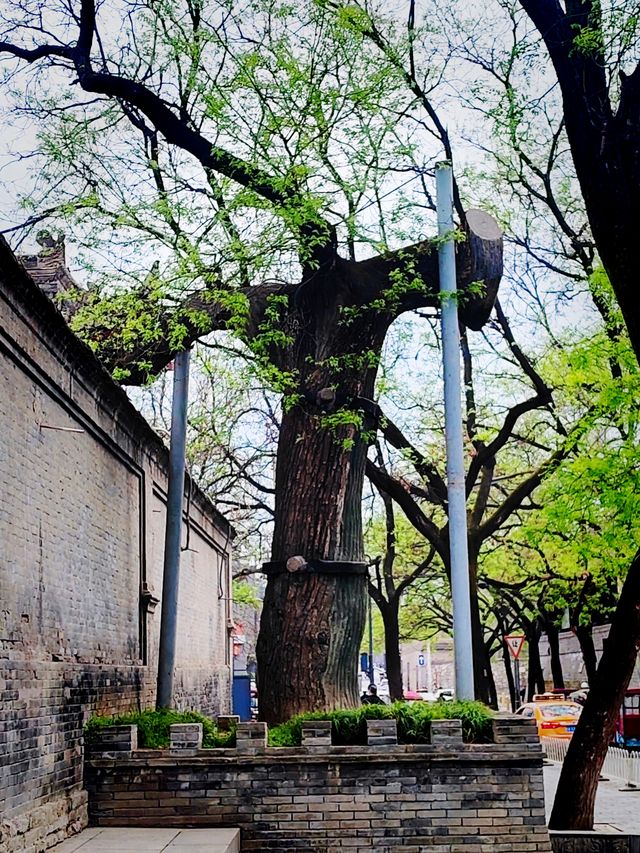 西安書院門~在鬧市中尋找古風
