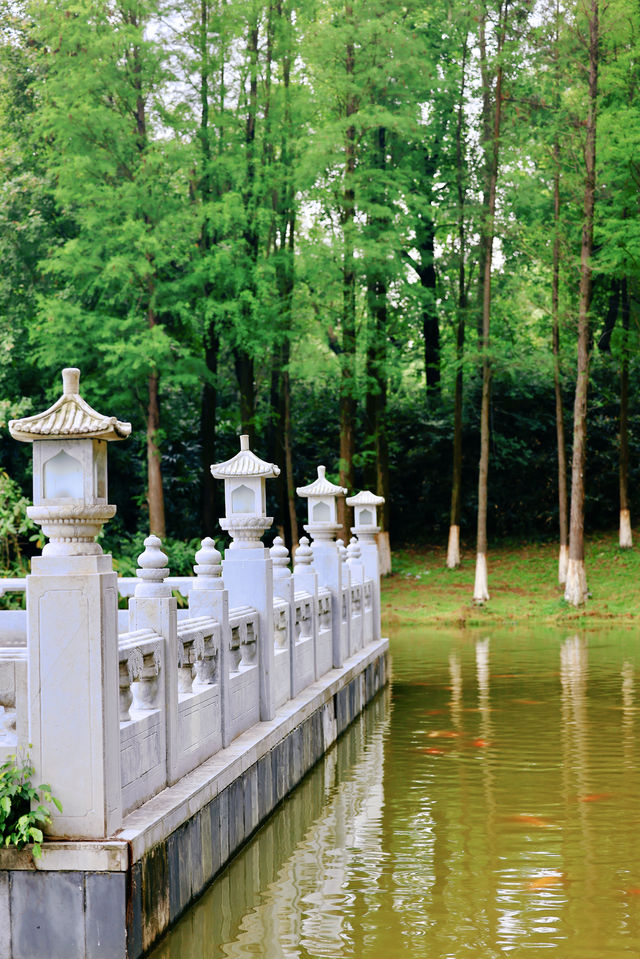 穿越地域與時光，在珠海遇見圓明新園