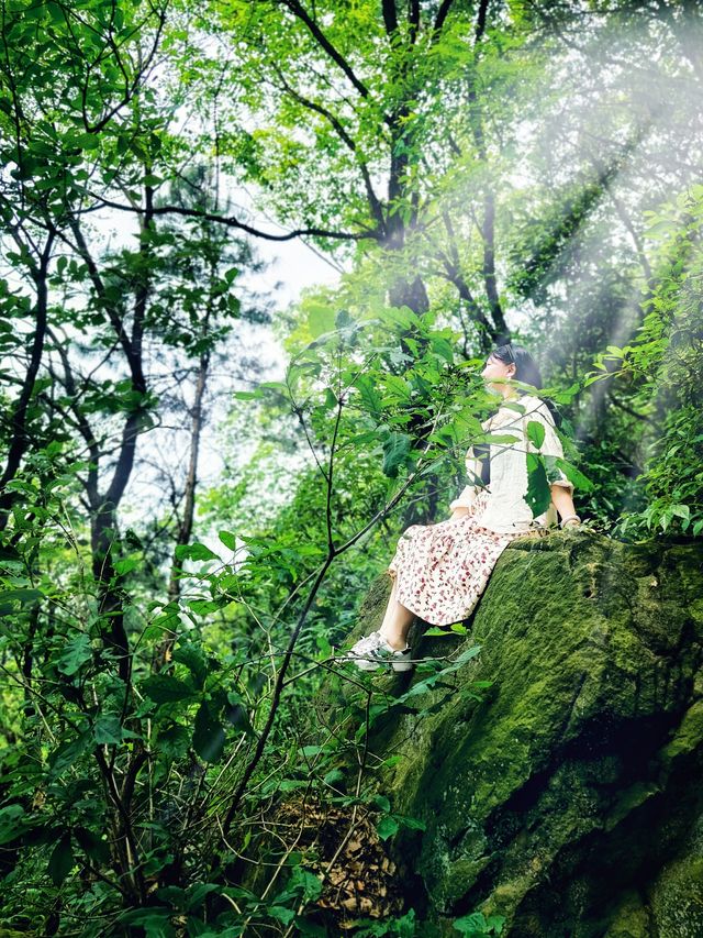 必須告訴你寶藏徒步路線龍脊山，尽享林木之美、山巒之秀！
