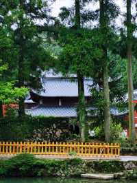 誰懂五月苍南玉苍山美到窒息，仿若仙境