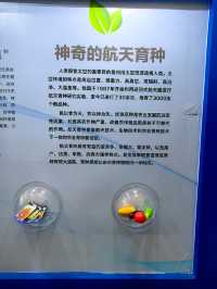 金沙灘啤酒城大國重器展覽館