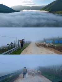 川西夏日遊，以勒湖的山水美如畫