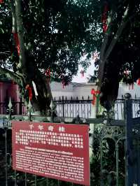 景德鎮之旅——浮梁古縣衙
