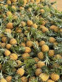 湛江這座城為什麼值得一去？。
