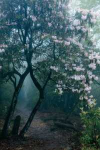 神瀑溝後山