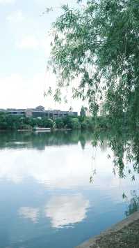 銅陵之美藏於「天井湖公園」|| 探訪4A級景區