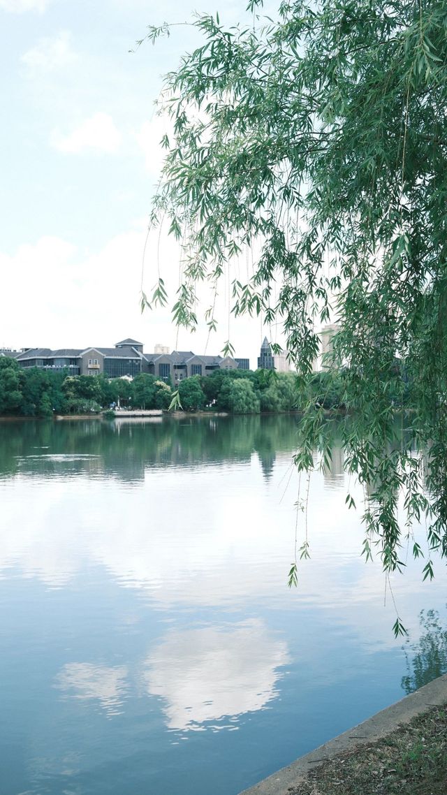 銅陵之美藏於「天井湖公園」|| 探訪4A級景區